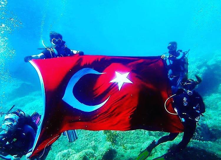 Türk Ticaret Filosunun Durumu ve Türk Loydu Hizmetleri Türk bayraklı ve Türk armatör sahipliğinde sera gazı kurallarının kapsamına giren yaklaşık 1100 adet gemi bulunmaktadır.
