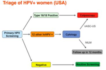 6% HPV16-18 51.