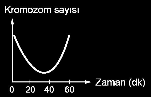 MİTOZ-2 8. SINIF 4 FEN BİLİMLERİ 7. 2n=30 kromozoma sahip bir hücre 20 dakikada bir mitoz bölünme geçirmektedir. 10. Bir amip ile aşağıdaki deney yapılmıştır.