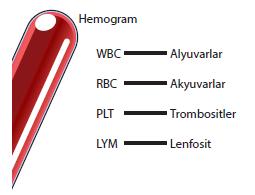*Kan tahlillerinde hücrelerin ifadesi* *Kan hücreleri kırmızı kemik iliğinde üretilir.