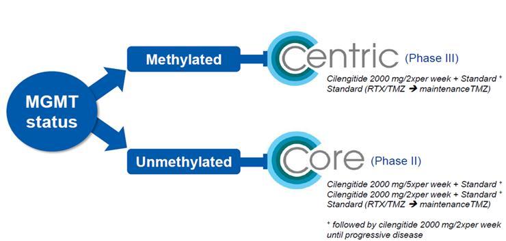 Cilengitide: Faz II/III Çalışmalar CENTRIC çalışmasında; MGMT metilasyonu olan grupta mos her iki kolda da aynı (26.