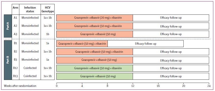 HIV/HCV koinf.