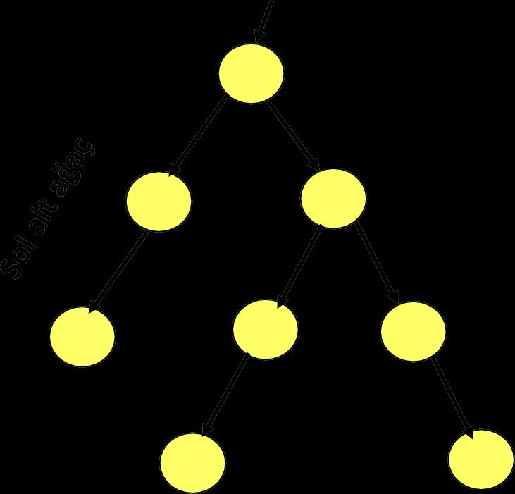 17 İkili Ağaç (Binary Tree) : Bilgisayar bilimlerinde en yaygın
