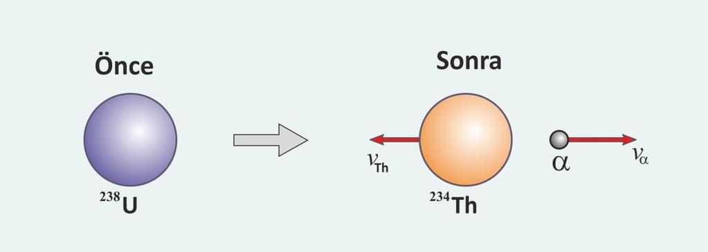 Problem 9.2 Serway P3/282 Çekirdek reaksiyonu sonucunda durmakta olan uranyum ( 238 U) çekirdeği alfa parçacığı yayınlayarak toryum ( 234 Th) çekirdeğine dönüşmektedir.
