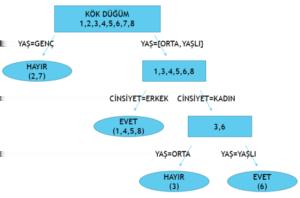 Şekil 25.