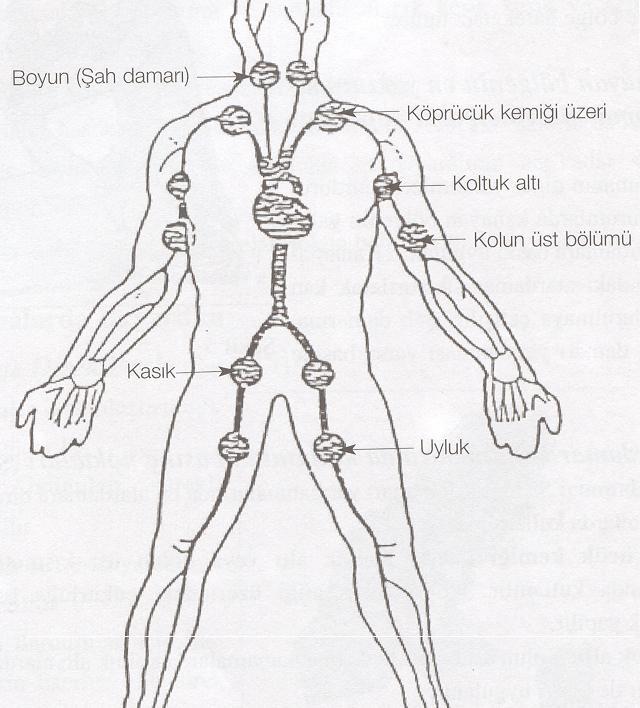 KANAMALAR VE