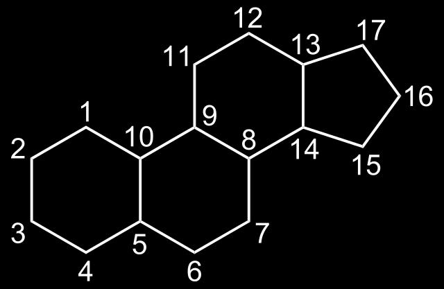 A B C D Fenantren halkası 3 benzen halkasından ibarettir. Bu halka hidrojenle doyurulursa çift bağ açılır ve perhidrofenantren halkası meydana gelir.