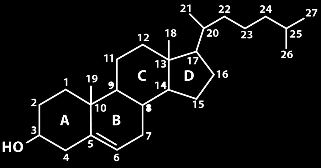 Kolesterol (Kolesterin) Kolesterolde Steran halkası; 3 nolu karbon atomunda 1 mol OH grubu, 5 ve 6.