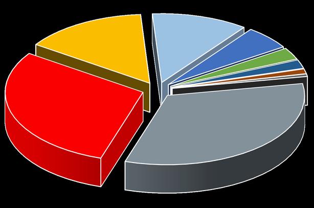 Fin&Muh&C/H 61 11% İdari İşler 30 6% IT 15 3% Yönetim 11