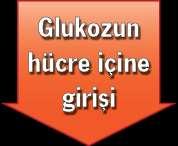 İnkretinlerin Tip Tip 2 DM de 2 DM de