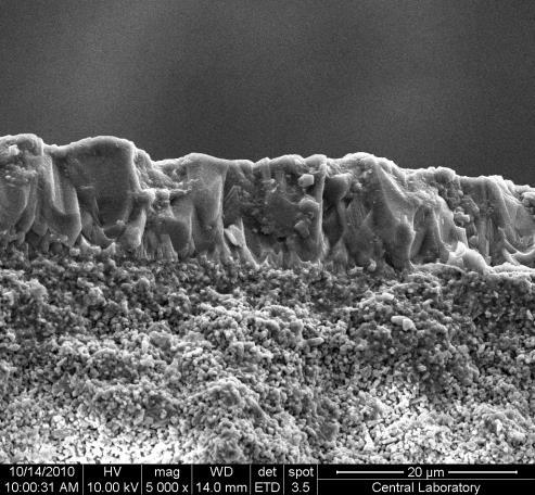 süreyle sentezlenen membranın ve membrandan arta kalan tozun X-ışını kırınım desenlerini göstermektedir.