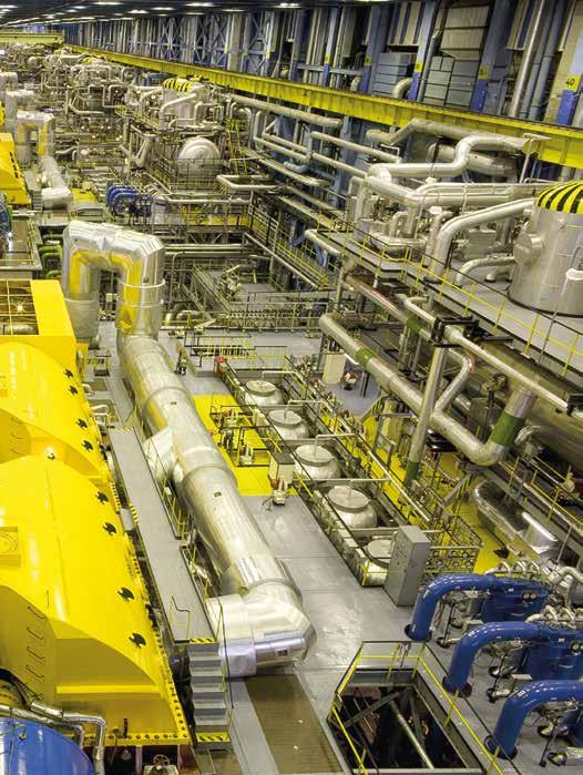 Rus yapımı VVER-1200 model basınçlı su tipi reaktör inşa edilmesi öngörülmektedir. Akkuyu NGS 1. Ünitesi nin ise 2023 yılında işletmeye alınmasının planlandığı APŞ tarafından ifade edilmektedir.