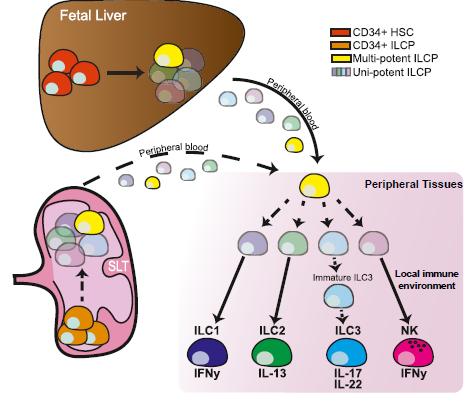 2016;166: 1231 In the case of altered microbiota