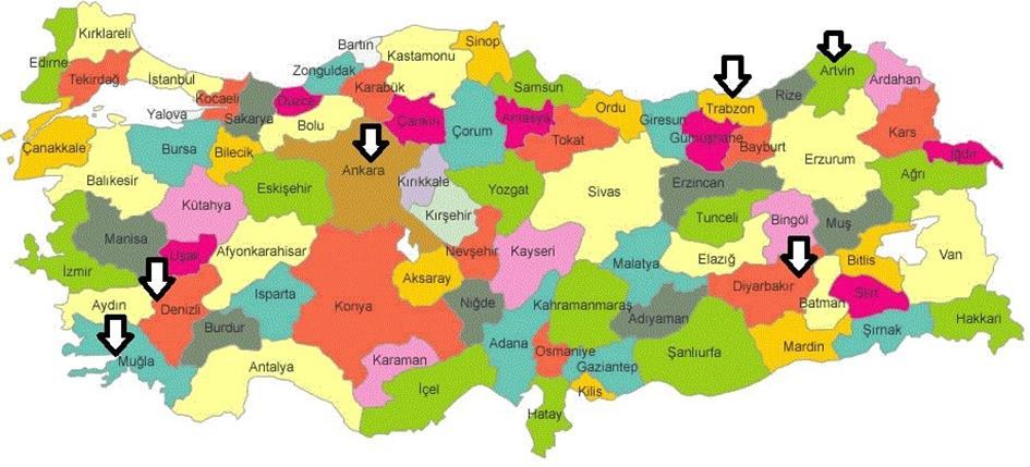 5 Rapora Projeya Lêkolînê ya Berhevanîna Tevgerên Jinan a li Nav Tirkiyê 1.3 Nexşeya Heremên Lêkolînê Çavkanî: Rêveberiya Giştî ya derbarê Koçberiyê ya Wezareta Karê Hundirîn a Komara Tirkiyê 1.
