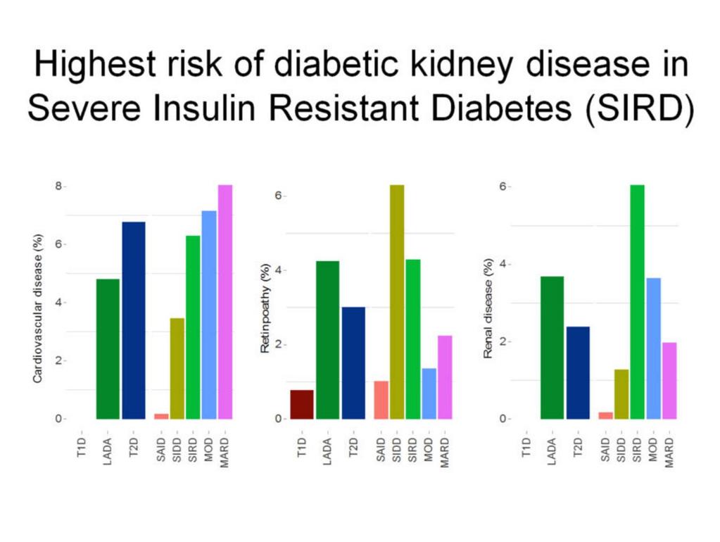 Ciddi İnsülin Direnci olan Diyabet (SIRD):