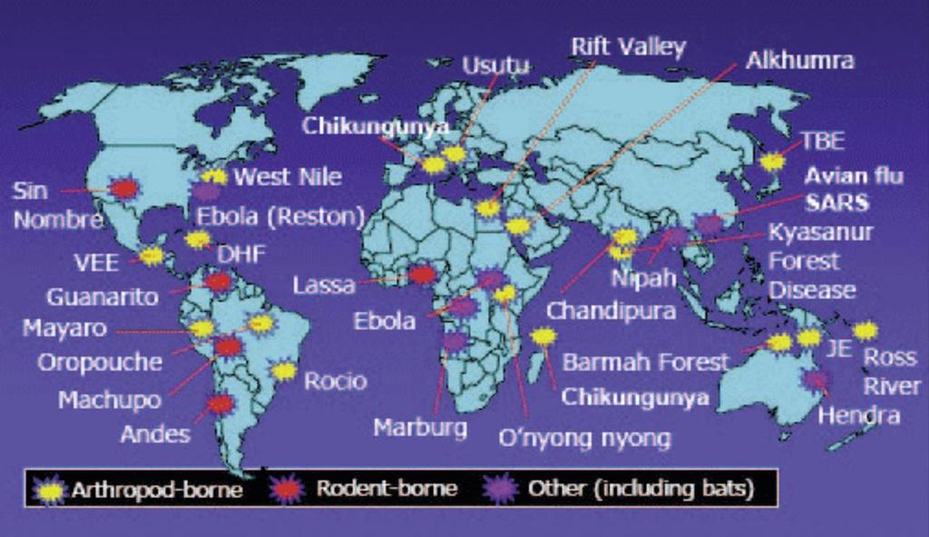 Yakın Dönem Epidemileri 1940 ve 2004 arasında dünyada 335 enfeksiyon hastalık (Emerging) epidemisi