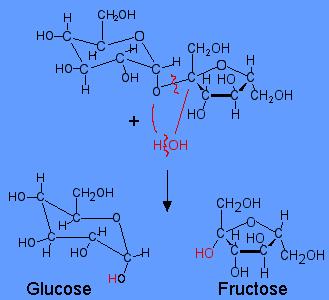 Sakkaroz hidrolizi sonucunda çoğu kez eşit miktarlarda glukoz ve fruktoz karışımı oluşur. Bu karışım invert şeker olarak adlandırılır.