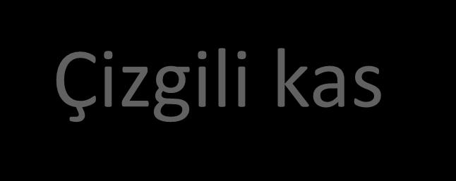 Çizgili kas İstemli hareketin ortaya çıkabilmesi için son organın sağlam olması gerekli Kas distrofileri,