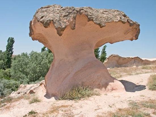 Rüzgâr Aşındırma Şekilleri 1.Mantarkaya (Şeytan Masası) 2.Tafonni 3.Yardang 4.Hamada 5.Şahit Kaya Rüzgâr Biriktirme Şekilleri 1.Kumul 2.Barkan 3.Lös RÜZGAR AŞINDIRMA ŞEKİLLERİ 1.