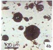 Şekil 3.7 Tip IV Kerojen mikroskobik görüntüsü (Durand 1980) Çizelge 3.5 Kerojen tiplerinin kaynağı ve karakteristikleri (Wignall 1994, Potter vd.