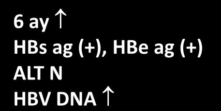 HBV DNA HBs ag (-) Anti HBc IgG (+), Anti