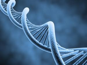DNA genetik bilgiyi taşıdığı nükleotidlerin sekansında şifrelenmiş olarak saklayan, fosforik asit ve deoksiriboz ünitelerinin oluşturduğu