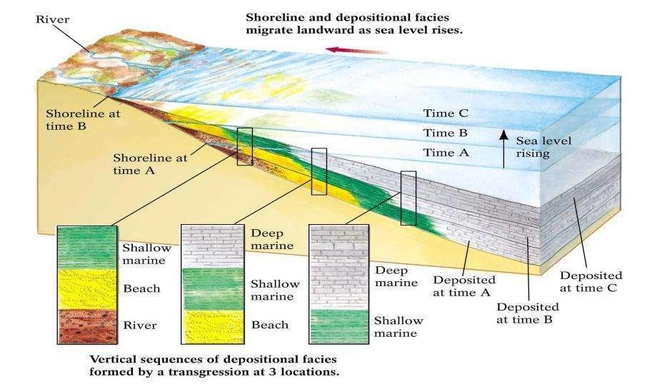 Transgersyon ve Walther Yasası Vertical sequences of sedimentary facies