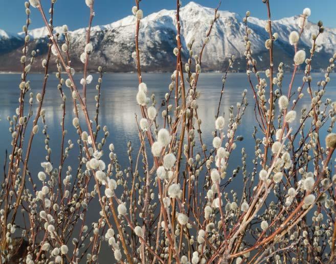 Avrupa nın en uzun nehri Volga, AGT ile evinize ulaşacak.