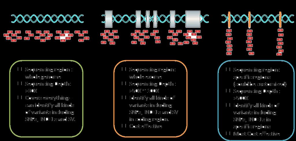 Whole Genome Seq (WGS) Whole Exome Seq (WES) Targeted Seq