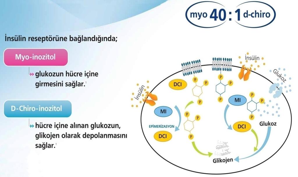 İnositol B vitamini grubu üyesi Şeker-alkol stereoizomeri