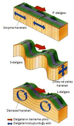Şekil 98. Deprem Dalgalarının Oluşumu P Dalgaları (Primer Dalgalar): İlk oluşan deprem dalgasıdır. Hızı, kabuğun yapısına göre 1.5 ile 8 km/sn arasında değişir.