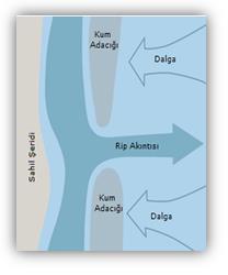 Şekil 155. Başlıca Okyanus Akıntıları Bulundukları okyanuslara göre önemli okyanus akıntıları şunlardır: Tablo 9.