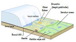 Bunların buzulların erime dönemlerinde morenler arasında kalmış ölü buz kütlelerinin yerlerine karşılık geldikleri düşünülmektedir.