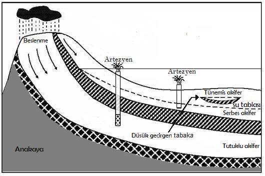 C. Asılı veya Tünek Akifer (Perched): Serbest akiferin üzerinde doygun olmayan kuşakta geçirimsiz seviyeler üzerindeki gözenekli kısımda yer alan yeraltı suyunun toplanarak oluşturduğu akifer türüdür.