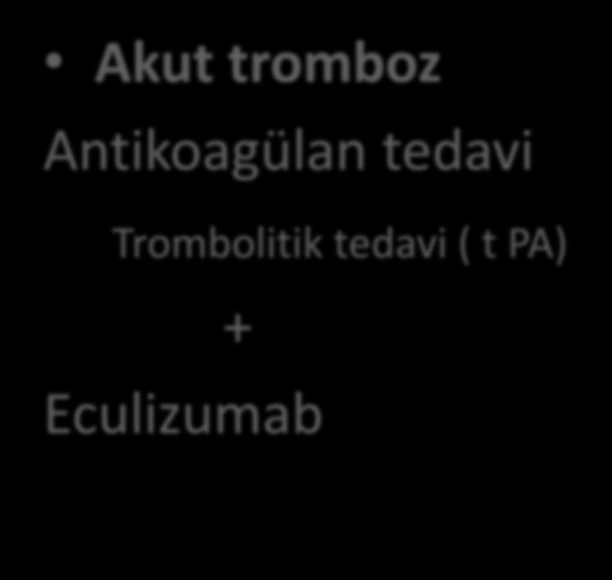 PNH da tromboz tedavisi Akut tromboz