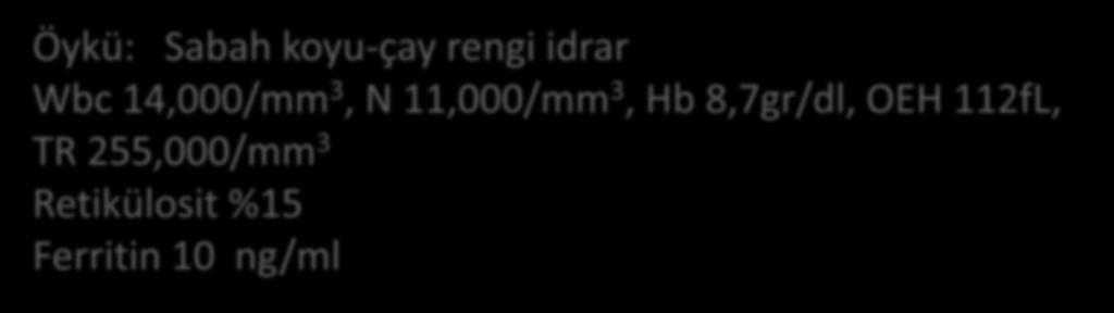 Olgu-3 Öykü: Sabah koyu-çay rengi idrar Wbc 14,000/mm 3, N 11,000/mm 3, Hb 8,7gr/dl, OEH 112fL, TR 255,000/mm 3 Retikülosit %15 Ferritin 10 ng/ml Kemik iliği biyopsisi: Eritroid