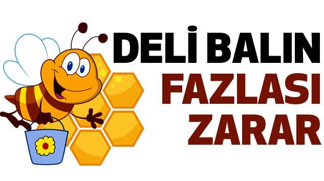 TARİHTEKİ İLK BİYOLOJİK SİLAH: DELİ BAL İnsan sağlığına zarar vermeyen doz Zehirlenme 5-30 gr bal Zehirlenme belirtileri 1.