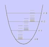 Potansiyel enerji (E) 1/ 2 Dönme geçişleri ( mikrodalga ) Anharmonik hareket(deneysel gözlem) IR de =± 1 geçişleri serbest geçişlerdir.