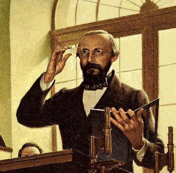 Rudolf Virchow (1821-1902) Tümörlerde lökosit