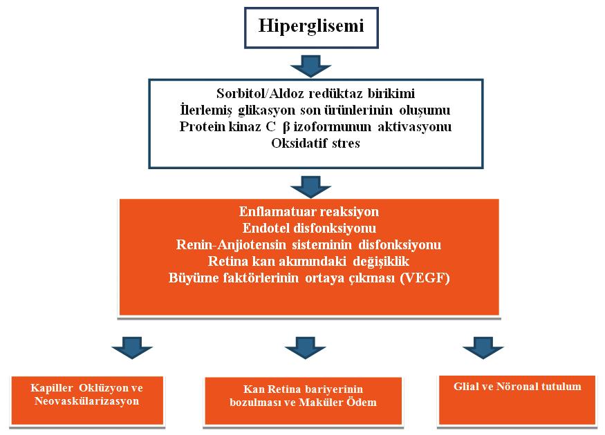 Ret-Vit Özel Sayı 2014;22:12-19 Özcan 13 GİRİŞ Diabetin tedavisi, aslında diabetik retinopatinin tıbbi tedavisidir.