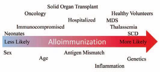 Alloimmunizasyon-Hastalık Alloimmünizasyon,