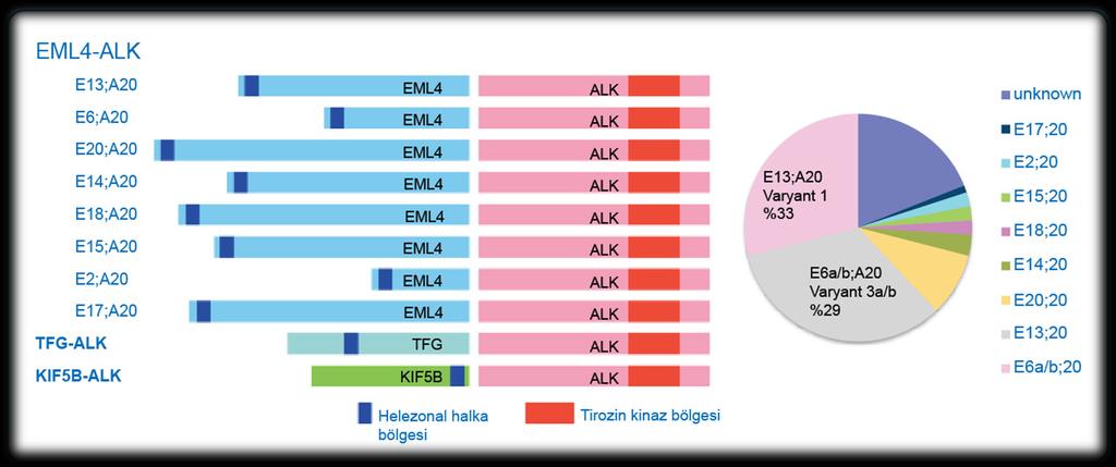 KHDAK nde EML4-ALK Füzyonu Varyantları KHDAK nde, çeşitli EML4-ALK füzyonu