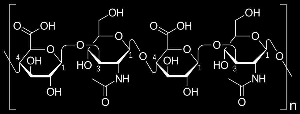 Glikuronik asit N-asetil-glikozamin