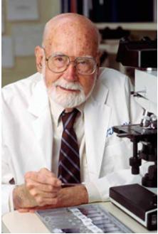 Kemik iliği nakli çalışmaları Dünya da 1957 yılında başlamıştır. İlk klinik nakil ekibi ise Dr. Don Thomas önderliğinde 1967 de Seattle de kurulmuştur.