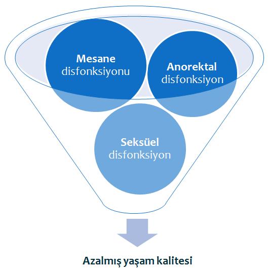 Konvansiyonel radikal histerektominin fonksiyonel sekelleri Konvansiyonel radikal