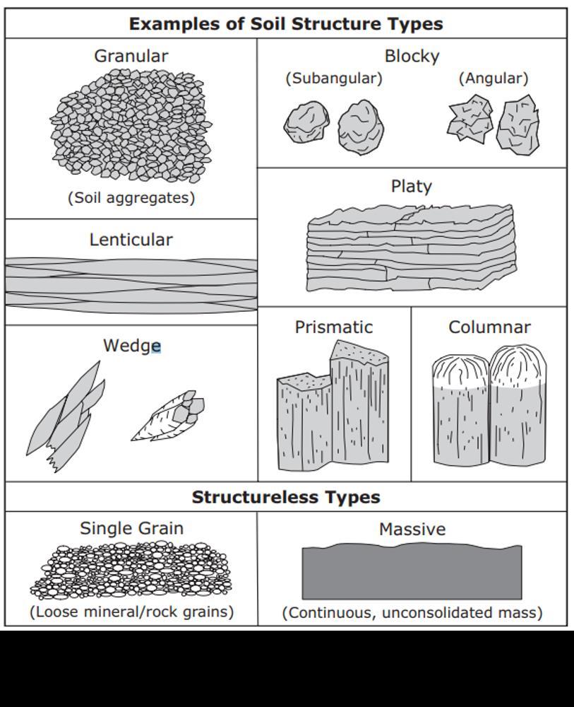 HORİZONLAR VE KARAKTERİSTİKLERİ - Mineral Toprak Materyali Bir toprağın mineral toprak materyali (2 mm den küçük parçaçıklar) olabilmesi için aşağıdaki şartlardan herhangi birini karşılaması gerekir;