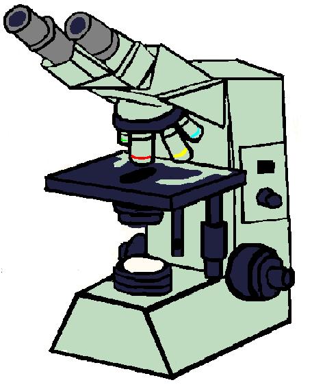 ile korele edilmesi gerekli Elektron mikroskopi
