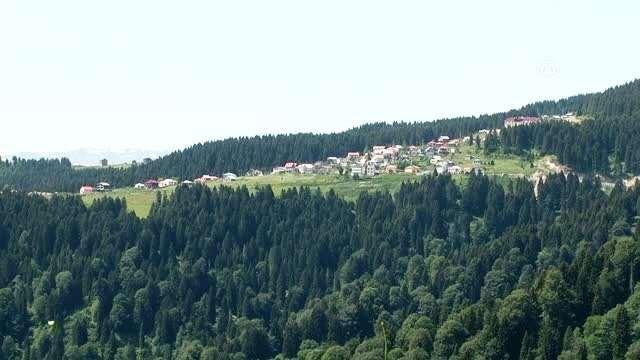 Öte yandan orman bahsine gelince 1908 ve 1914 tarihlerinde vakıf ormanlarına orman memurlarınca müdahale edilmek istendiği ve bu durumun vakıf mütevellilerince şikâyet konusu edildiği anlaşılmaktadır.