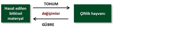 Gübre kaynakları Çiftlikte üretilen gübreler ve organik materyaller tercih edilen toprak verimliliği ve bitki besin maddelerinin kaynağıdır (Şekil 2).