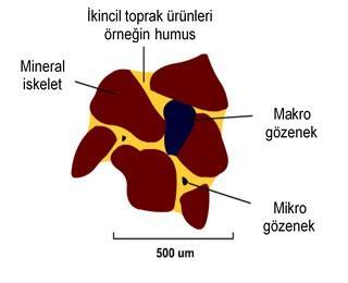 Şekil2. The texture triangle: it classifies the soil into different textures Toprak yapısı besin alımının nasıl etkiler? Kumlu topraklar kumumsu his verir ve besin maddesi tutumu çok iyi değildir.